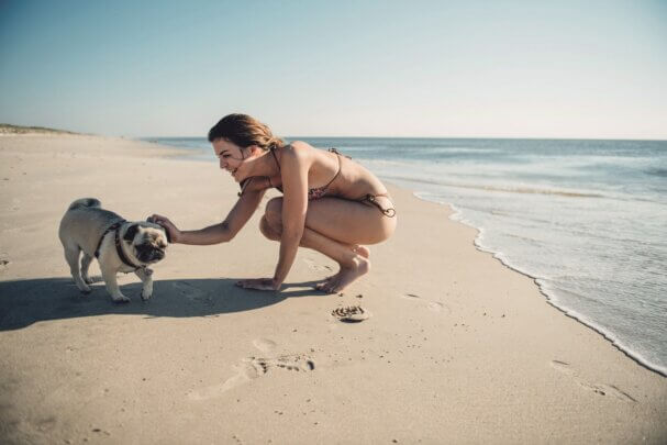 Mädchen und Hund am Strand von Sylt, finden Sie auch hundefreundliche Unterkünfte wie Ferienwohnungen und Ferienhäuser