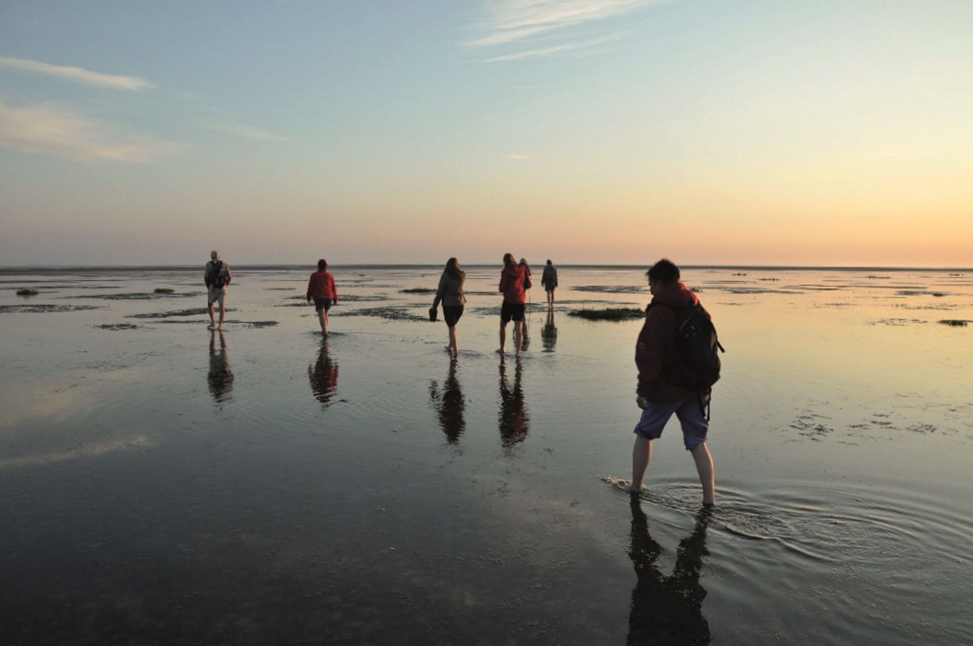 Wattwanderungen auf Sylt Wattenmeer hautnah erleben Hier mehr